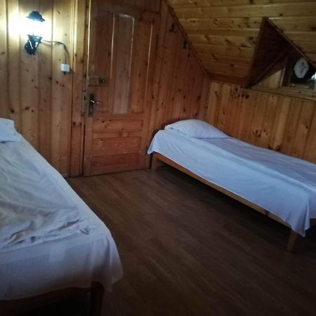 Casa Radu Lui Anghel Villa Barbuletu Kültér fotó