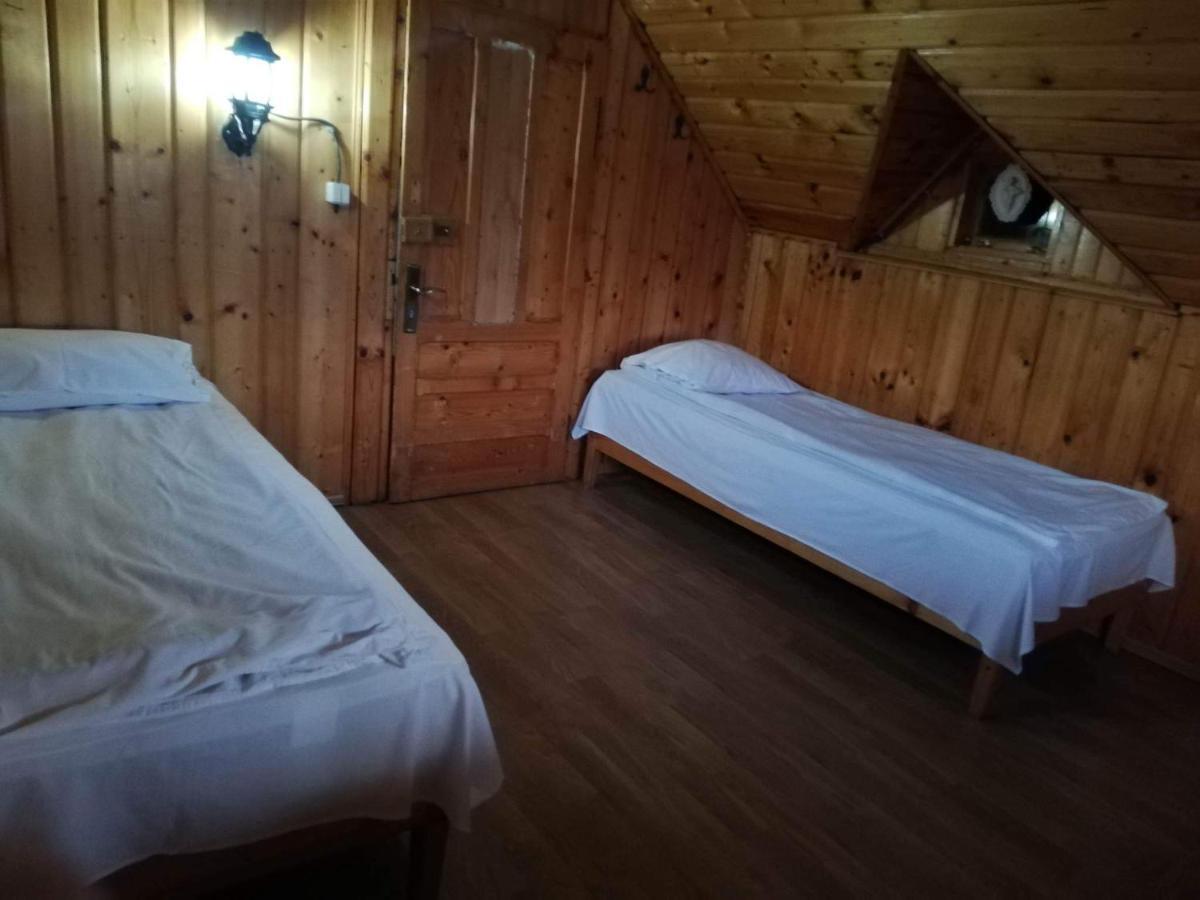 Casa Radu Lui Anghel Villa Barbuletu Kültér fotó