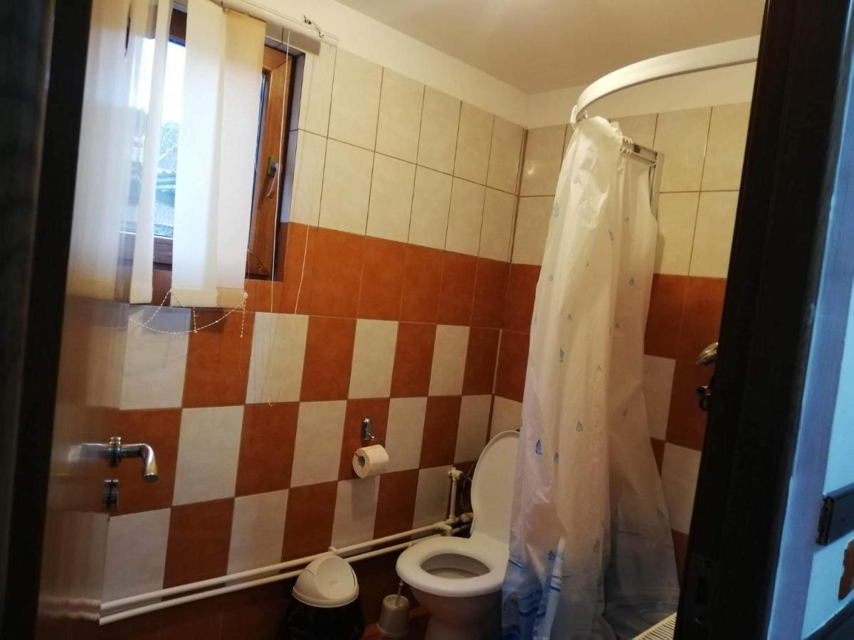Casa Radu Lui Anghel Villa Barbuletu Kültér fotó
